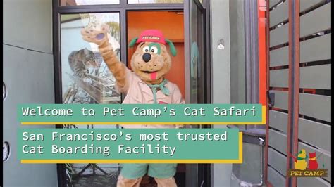 San Francisco, CA 94124 415. . Pet camp cat safari